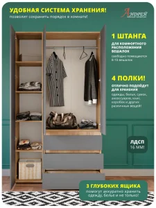Распашной шкаф 3-х створчатый Хелен ШК 06 в спальню дуб золотой крафт/графит фото 5